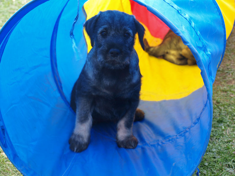 EAlb11.jpg,  height=